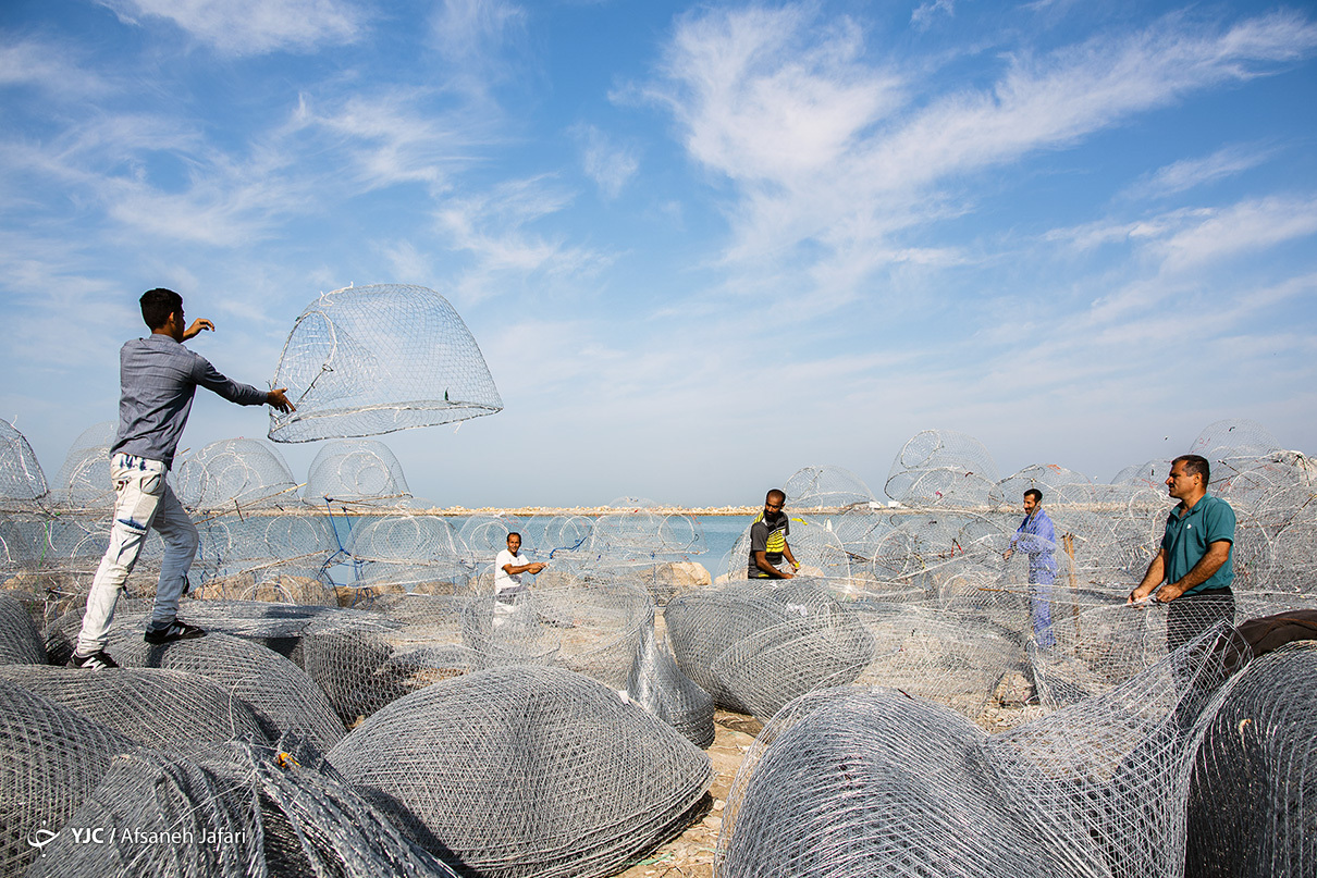 Basket Fishing