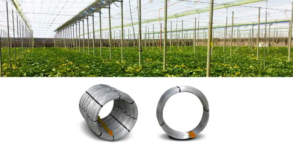 Application of galvanized wire in agriculture and horticulture