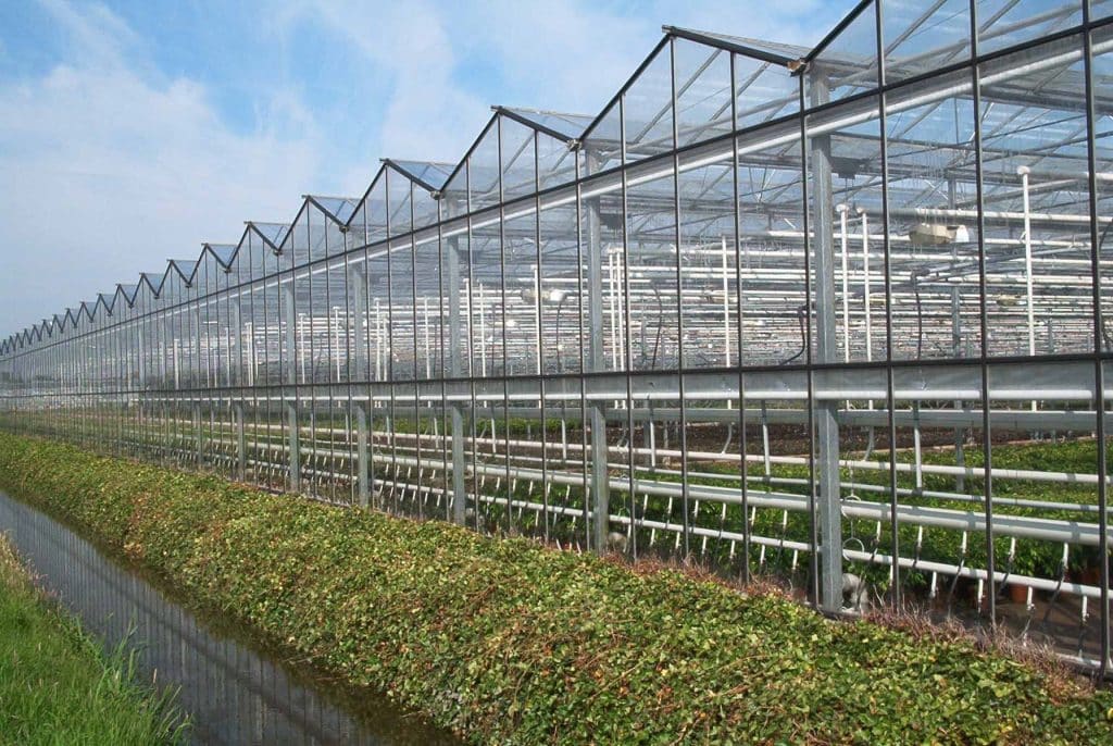 Using galvanized wire in Greenhouses