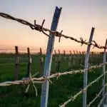 What is Barbed Wire