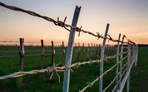 What is Barbed Wire